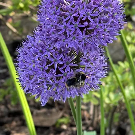 Frühstückspension Odsapka